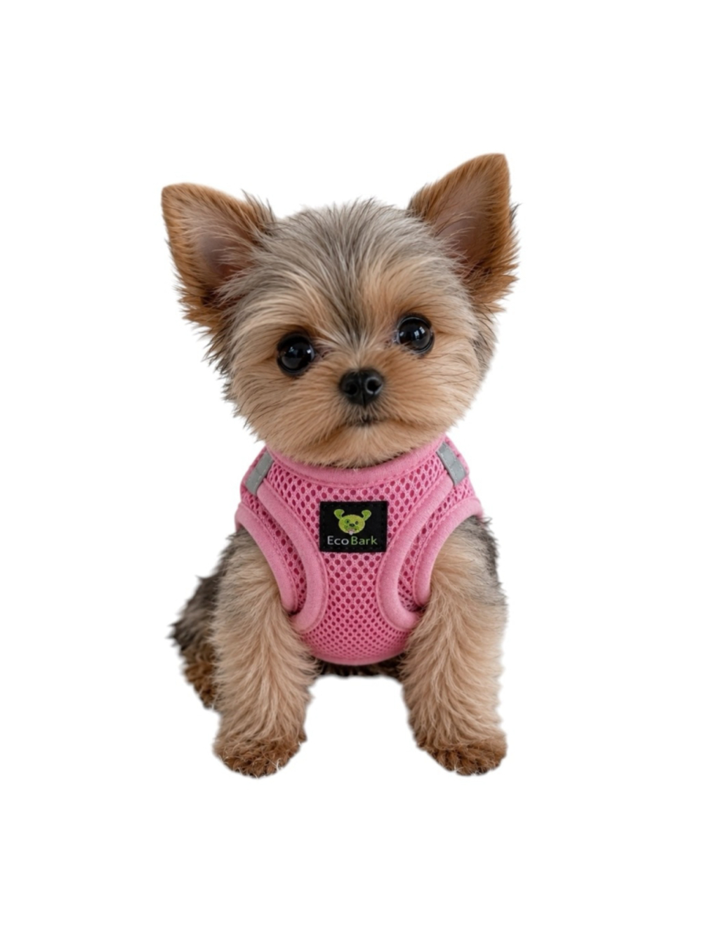 EcoBark XXXS Black No Pull Dog Harness Adjustable Mesh Small Dog Puppy